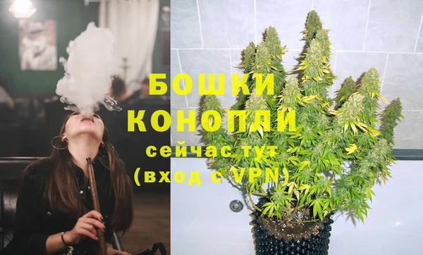 сатива Михайловка